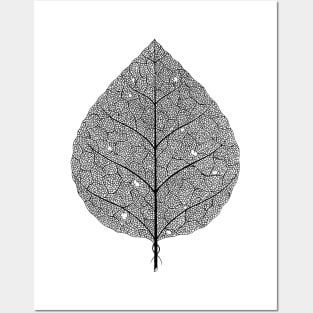 Leaf Posters and Art